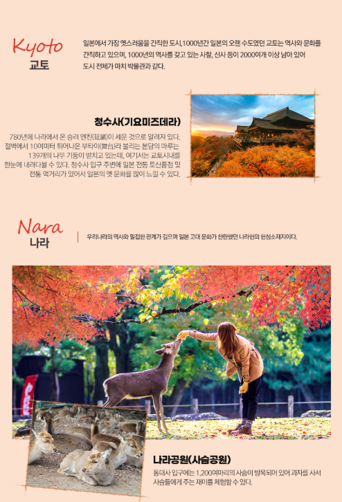 오사카 교토 나라 패키지 2박3일 이미지 4